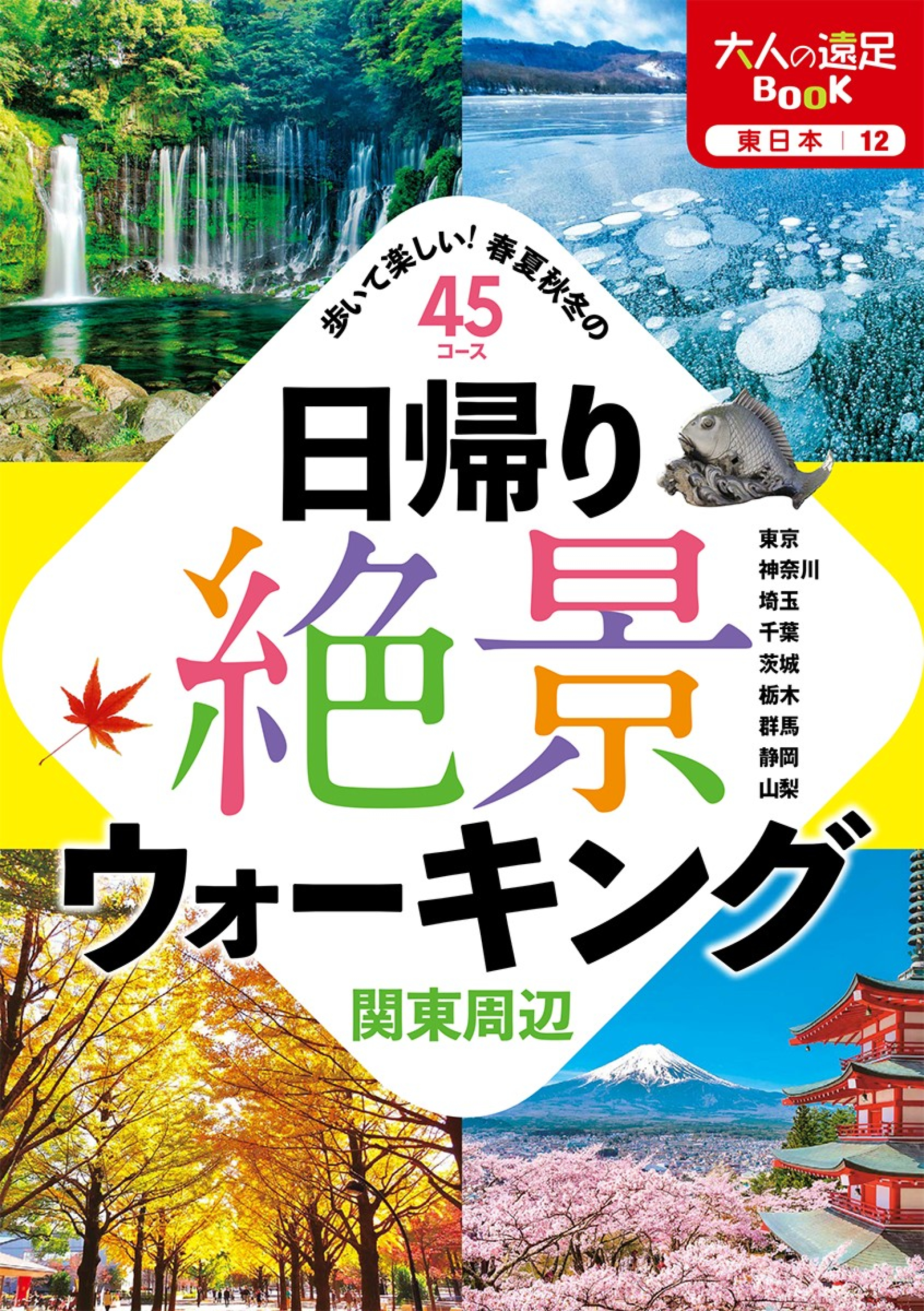 東京周辺ハイキングガイド　全コース最新実地走破　改訂６版/ＪＴＢパブリッシング/新ハイキングクラブ-