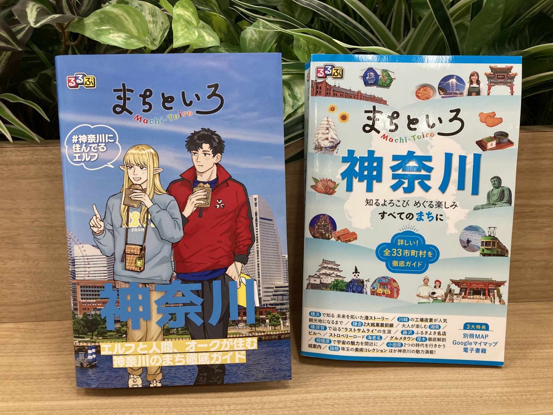 神奈川に住んでるエルフ』×『るるぶ まちといろ 神奈川』 コラボブック